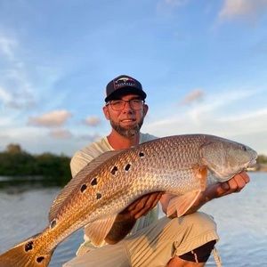 Meet your Posher, George